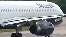Government Accused Of ‘sitting On Its Hands’ Over Monarch’s Future