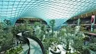 باغ استوایی در فرودگاه دوحه پذیرای مسافران جام جهانی 2022 قطر