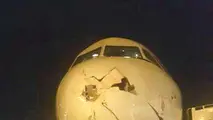 برخورد پرنده با دماغه هواپیمای تفلیس- تهران/ کسی در این حادثه آسیب ندید