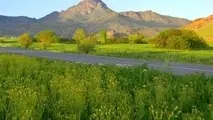 تورهای گردشگری رایگان برای مسافران نوروزی