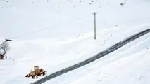 فیلم | تصاویری از فرو رفتن تا گردن در برف طالقان