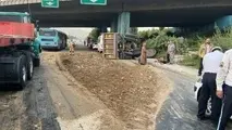 تصادف مرگبار مینی بوس با عابرپیاده