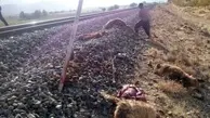  قطار 62 راس گوسفند را در جغتای تلف کرد
