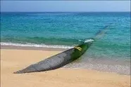 آیا انتقال و شیرین سازی آب دریای عمان به اصفهان صرفه اقتصادی دارد؟