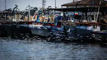 بزرگراه انزلی - رضوانشهر با استفاده از رسوبات بندری ساخته می شود