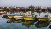 برنامه‌ریزی برای رها‌سازی بالغ بر۵۵میلیون قطعه میگو در سال جاری