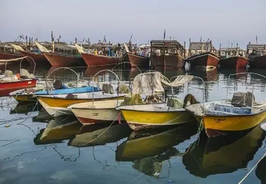  پیشرفت طرح واگذاری مدیریت بنادر ماهیگیری به بخش غیردولتی
