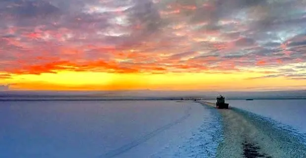 COSCO shows interest in trans-Arctic shipping