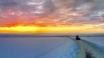 COSCO shows interest in trans-Arctic shipping