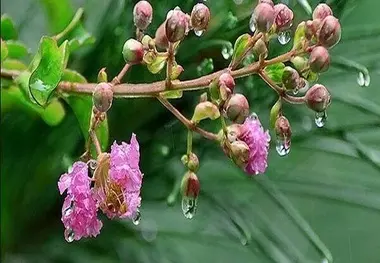 پیش بینی نوروز بارانی و سرد برای یزد
