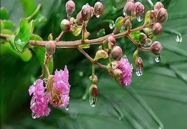 پیش بینی نوروز بارانی و سرد برای یزد
