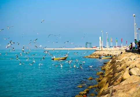  راه‌اندازی نخستین کشتی تفریحی مدرن در آب‌های بوشهر 