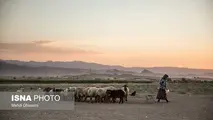 80 درصد ایل‌راه‌های اصلی عشایر از بین رفته‌ است