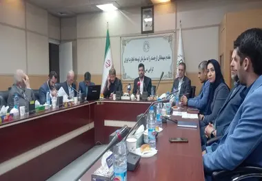 توقف تولید واگن باری سیاستی اشتباه است/تعطیلی سرمایه گذاری در صنعت ریلی 