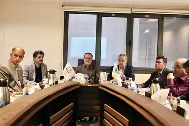 بررسی گزارش حسابرسی شش‌ ماهه پلور سبز با تأکید بر شفاف‌ سازی مالی و قراردادهای سنواتی