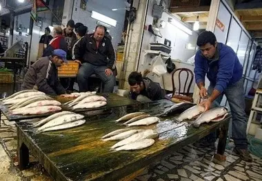 شب عید کمبود ماهی نداریم