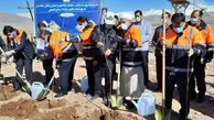 کاشت ۳۰ هزار اصله نهال از سوی سازمان راهداری کشور 