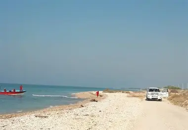 آلودگی نفتی سواحل بندر سیراف پاک‌سازی شد
