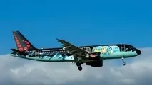 زیباترین هواپیماهای نقاشی شده دنیا را ببینید