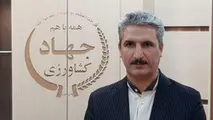 تولید 14هزار تن گلابی از باغات شهرستان قزوین 