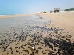 پاکسازی دوباره ساحل گناوه از لکه‌های نفتی  