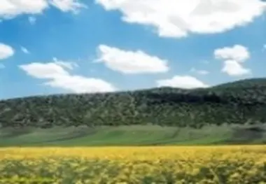 لرستان ظرفیت بالایی در زمینه گردشگری دارد / پرواز عسلویه به خرم‌آباد بزودی برقرار می‌شود