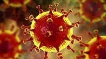ابتلای ۱۰۲ مورد جدید به ویروس کرونا در شاهرود ثبت شد