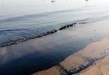 ساحل بندر بوشهر از لکه های نفتی پاک سازی شد