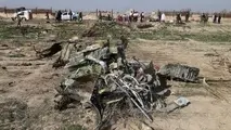 شناسایی ۱۶۶ پیکر از جان‌باختگان حادثه سقوط هواپیما