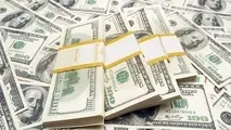 نیم‌سکه 11 هزار تومان گران شد
