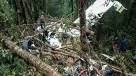 سقوط هواپیمای مسافری در اندونزی 8 کشته برجای گذاشت