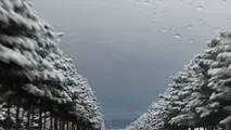 بارش برف و باران در محورهای چند استان

