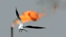 رشد 64 درصدی صادرات گاز در پنج ماهه امسال