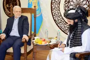 مقام طالبان افغانستان در دیدار با سفیر ایران: تصمیم گرفته ایم که مهاجران را بازگردانیم