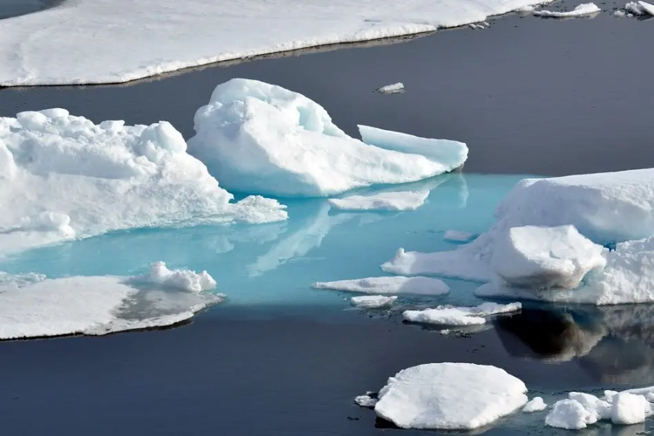 IMO Members Urged to Reduce Shipping’s Black Carbon Emissions