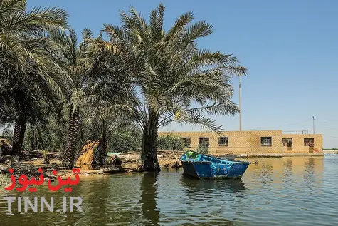 تصاویری از زندگی در تالاب شادگان به بهانه روز جهانی تالاب‌ها