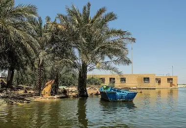 تصاویری از زندگی در تالاب شادگان به بهانه روز جهانی تالاب‌ها