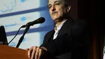 دیدگاه اتصال همه جا با جاده و پل، به دهه‌ ۵۰ میلادی برمی‌گردد/ قشم را نابود نکنیم