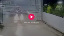 در رانندگی اصلا عجله نکنید!