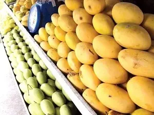 Iran’s fruits, vegetables exports grow by 54%