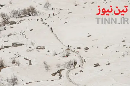 کولبر