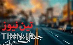 کاربرد کلمات و عبارات حمل و نقلی در متون و اشعار فارسی