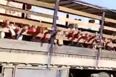 جابجایی دانش‌ آموزان جهرمی با تریلی، نمونه‌ ای بارز از فقدان نظارت حرفه‌ ای