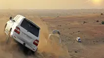قزوین میزبان نخستین سافاری پارک کشور
