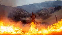 خسارت 53میلیارد180میلیون ریالی آتش سوزی به منطقه کوه بهار گرمه 