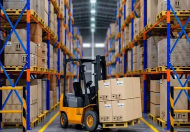 ترخیص روزانه ۹۰ هزار تن کالای اساسی از گمرکات کشور