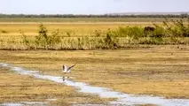 کاهش بارش ها و افزایش تبخیر آب در حوضه های آبریز جنوبی کشور
