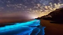 جزیره لارک بندرعباس؛ جزیره‌ ای بکر با سواحل مرجانی بی‌ نظیر!