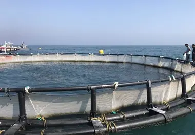 ساخت شهرک شیلات قشم با همکاری بنیاد مستضعفان

