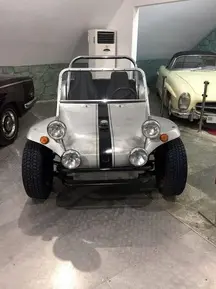 Volkswagen Speed Buggy